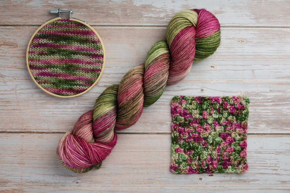 African Violet | Gryphon DK