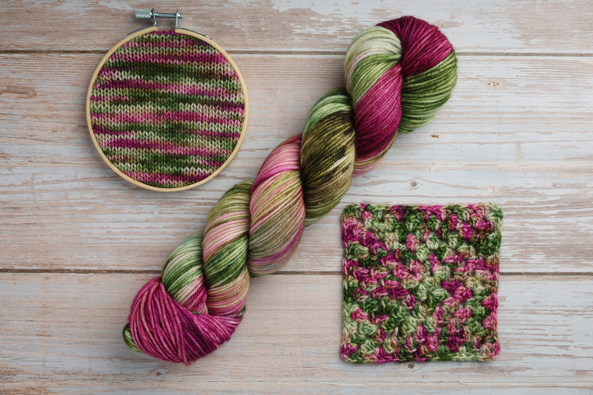 African Violet | Pegasus DK