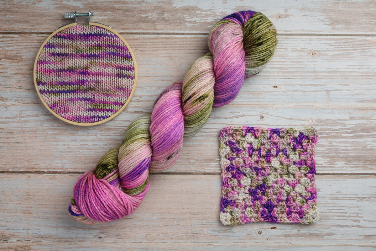 Costa's Hummingbird | Gryphon DK