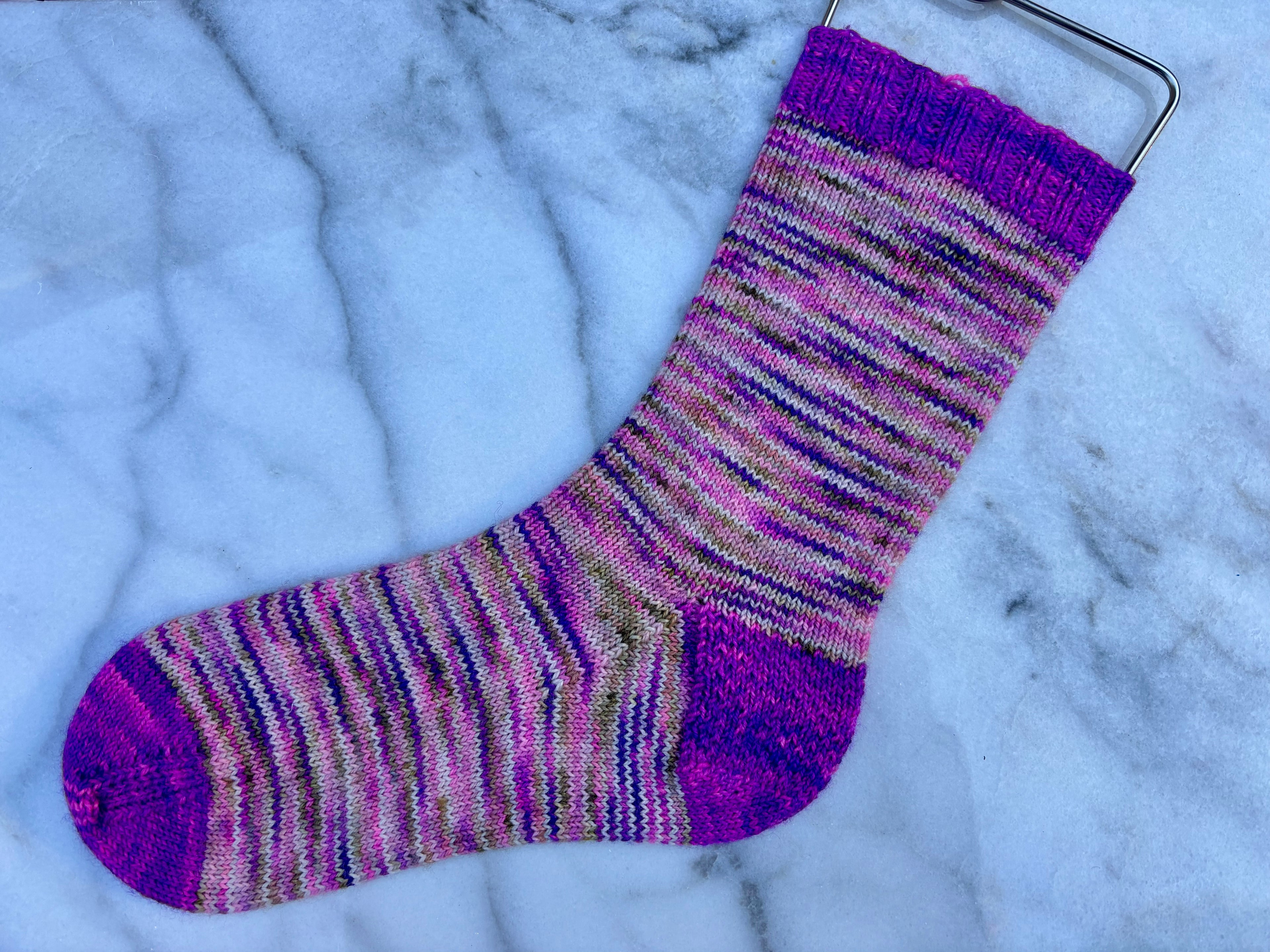 Costa's Hummingbird Sock Set | Kobold Sock